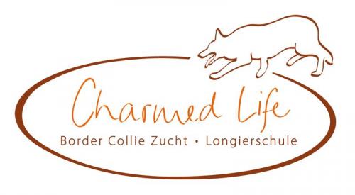 Charmed Life Longierschule Charmed Life Longierschule