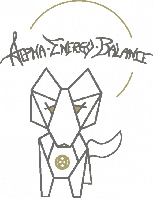 Alpha Energy Balance GmbH Alpha Energy Balance GmbH