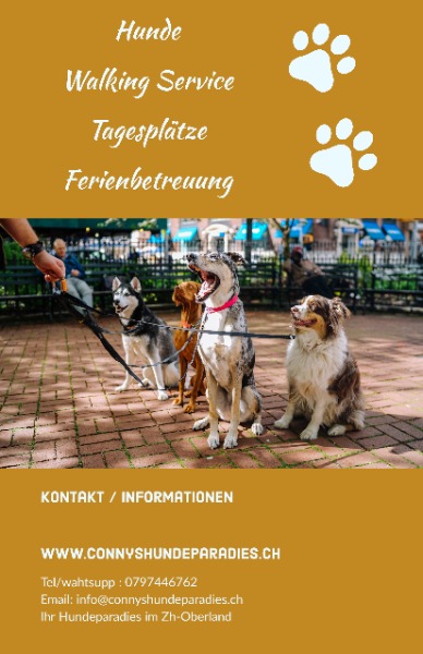 Hundebetreuung, Dogwalking Hundebetreuung, Dogwalking