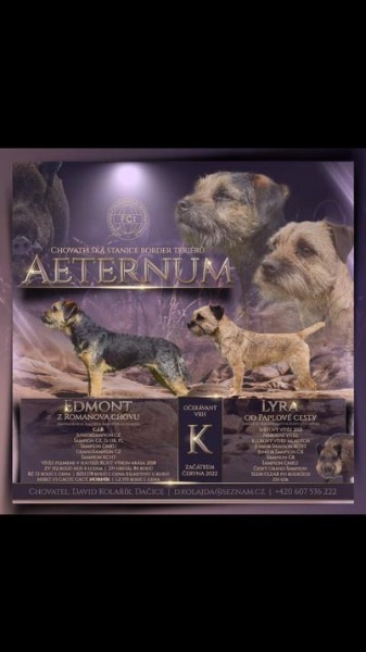 Chiots pure race