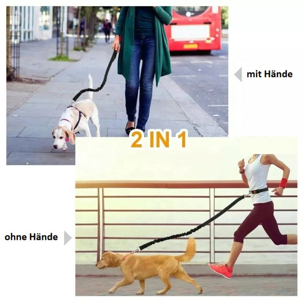 Hände Frei Hundeleine / Joggingleine (EXA) Hände Frei Hundeleine / Joggingleine (EXA)