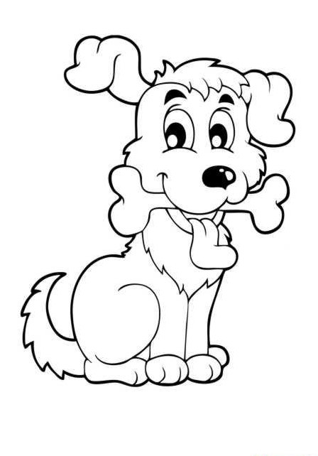 Biete Hundebetreuung/-Spazierdienst Bern, Vormittag bis über Mittag Biete Hundebetreuung/-Spazierdienst Bern, Vormittag bis über Mittag