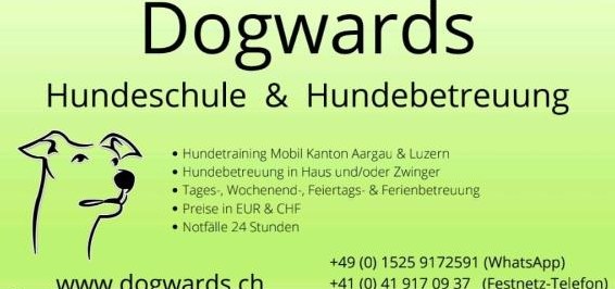 Dogwards - Hundeschule im LU und AG Dogwards - Hundeschule im LU und AG