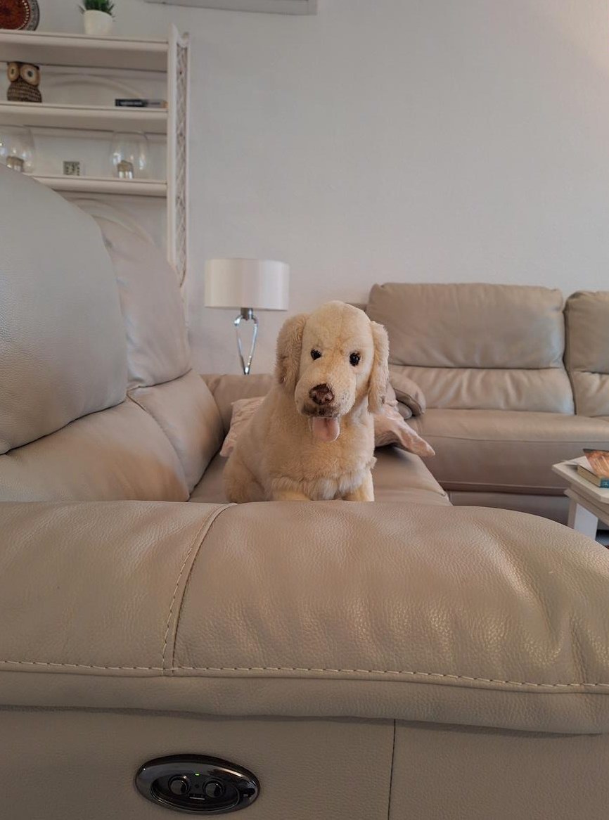 Biete familiäre Hundebetreuung, Raum Diegten/Sissach/Gelterkinden