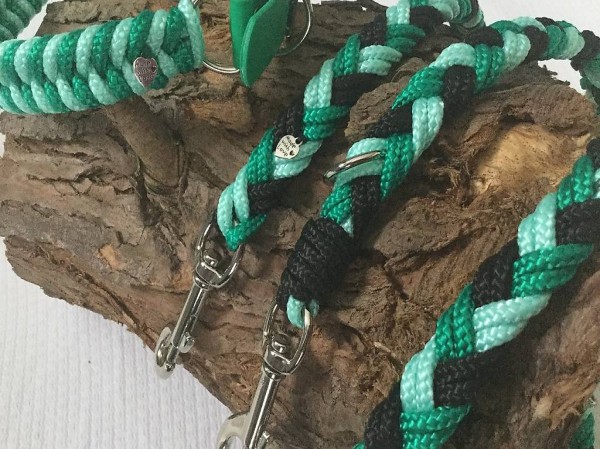 Hundeleine /Hundehalsband L/XL (NEU) Hundeleine /Hundehalsband L/XL (NEU)