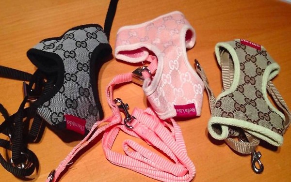 Hunde Hundeleine Dogs life Leine Halsband
