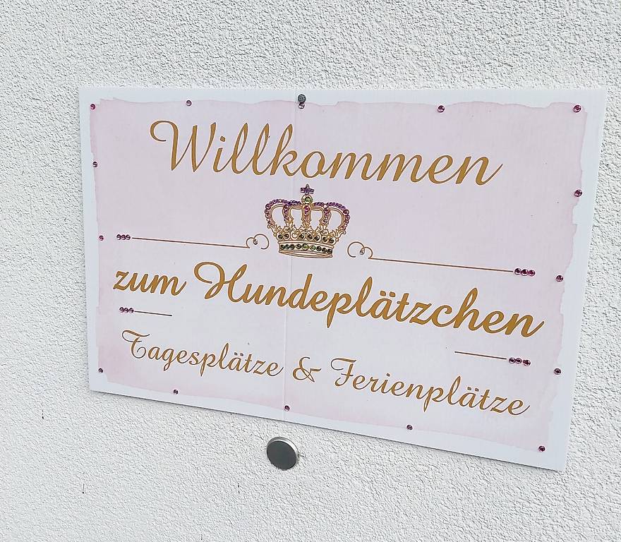Hundebetreuung für Senioren Hunde Hundebetreuung für Senioren Hunde